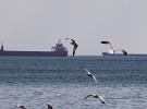 Marmara Denizi’nde poyraz engeli