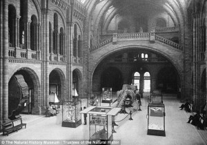 2525ED3900000578-0-The_hall_photographed_in_1895_The_Natural_History_Museum_was_des-a-12_1422560043363